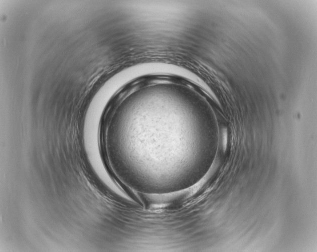 X0000088030560200705111158