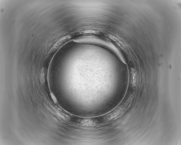 X0000088030562200705111158