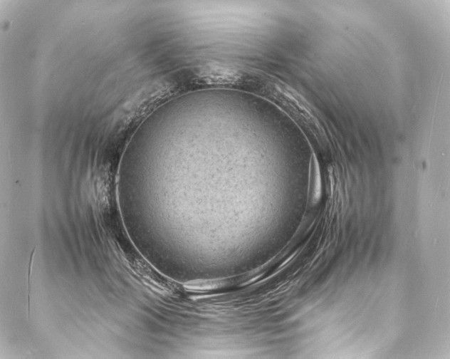 X0000088030604200705111157