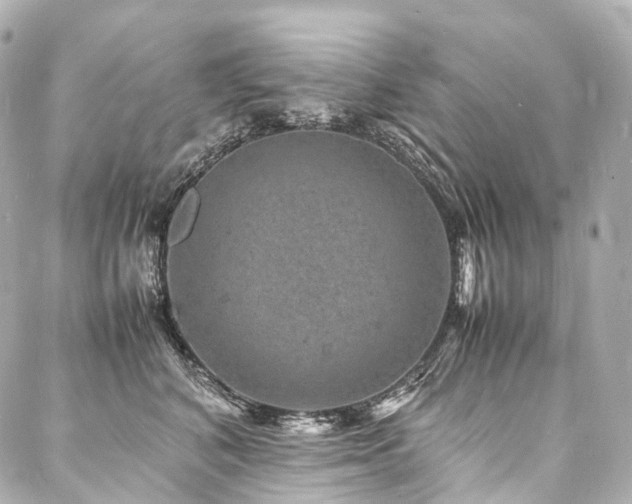 X0000088030616200705111157