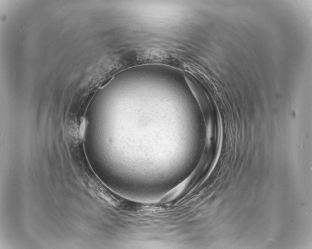 X0000088030617200705111157