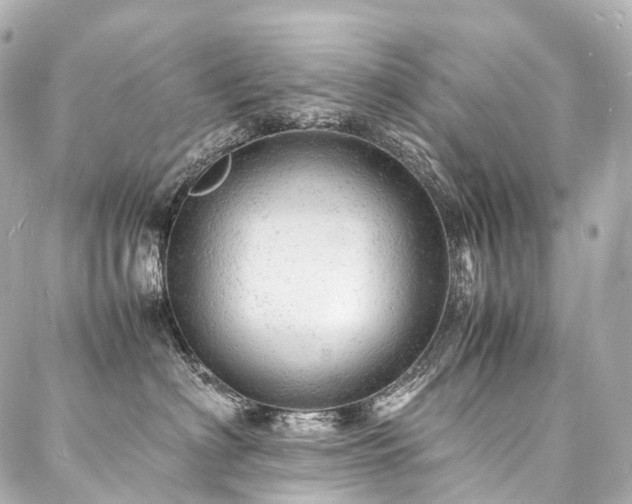 X0000088030622200705111157