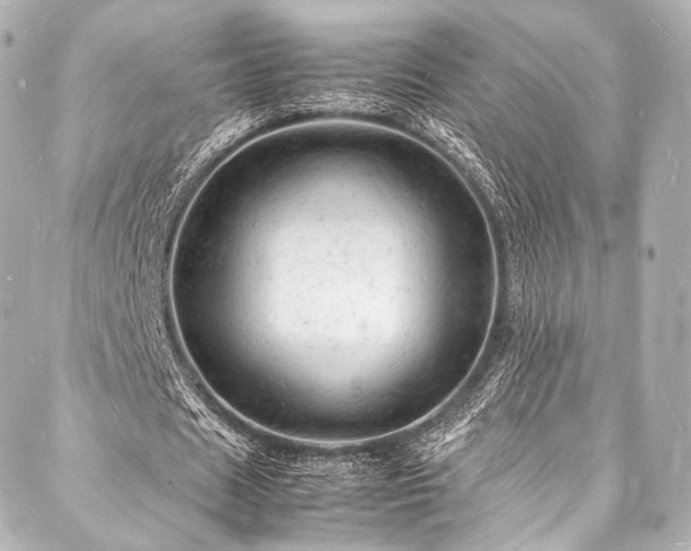 X0000088030625200705111156