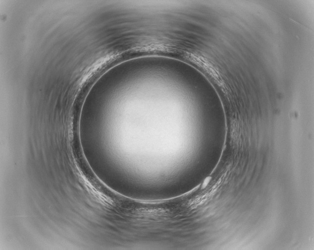 X0000088030629200705111156
