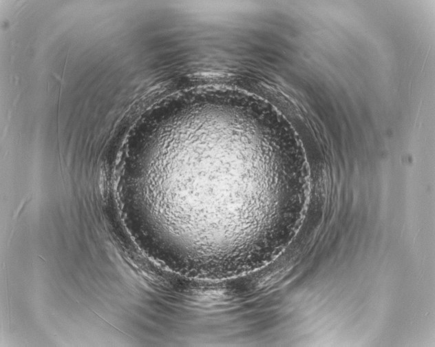 X0000088030651200705111157