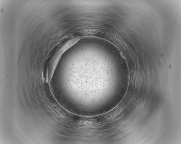 X0000088030655200705111157