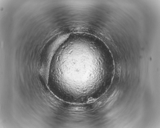 X0000088030657200705111157