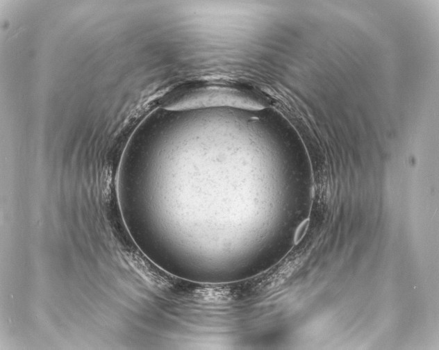 X0000088030660200705111157
