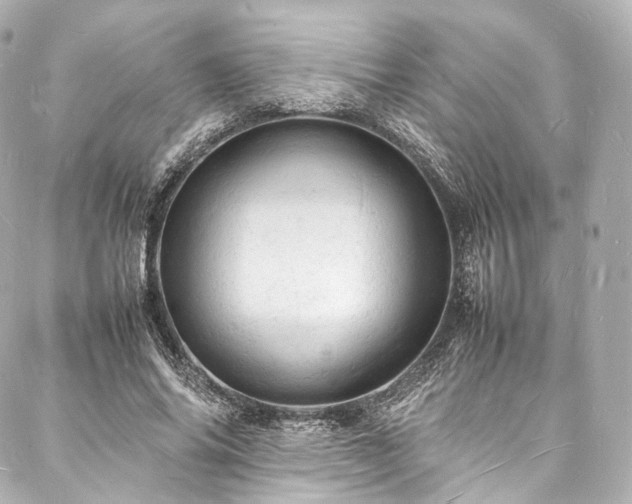 X0000088030686200705111156