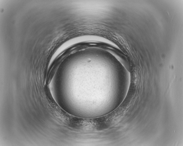 X0000088030697200705111156
