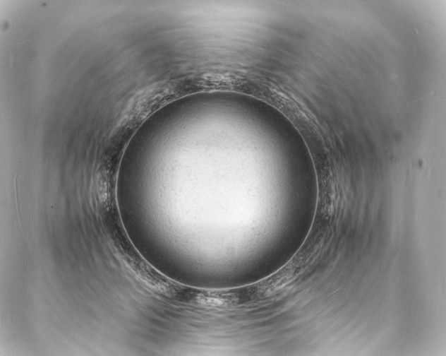X0000088030706200705111156