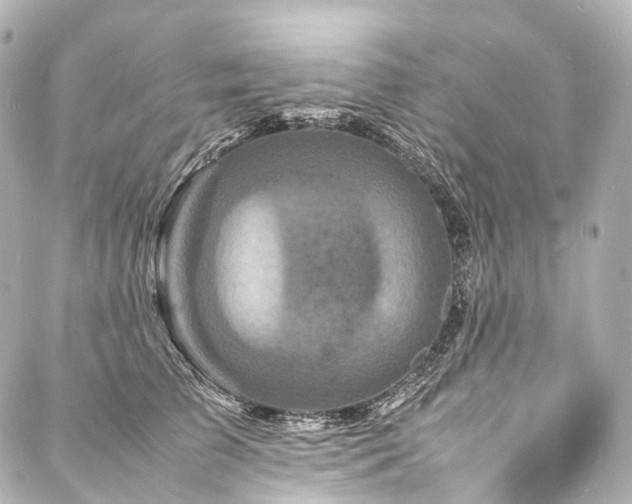 X0000088030709200705111156