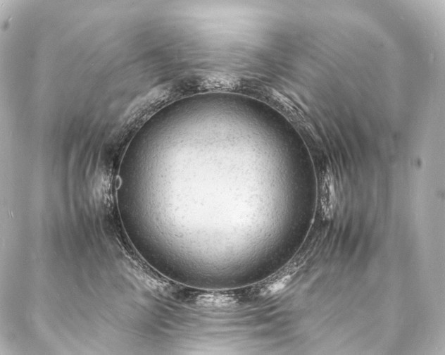 X0000088030714200705111156