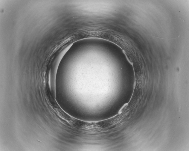 X0000088030752200705111155