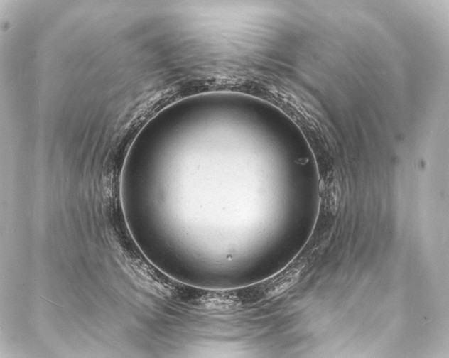 X0000088030756200705111155