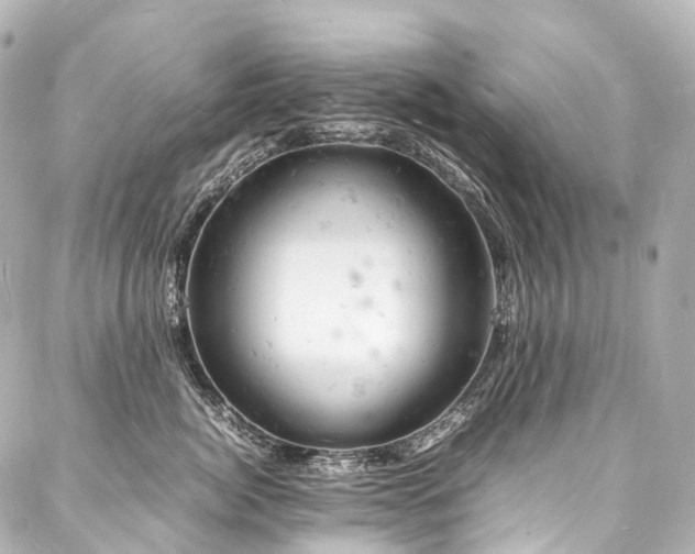 X0000088030764200705111155