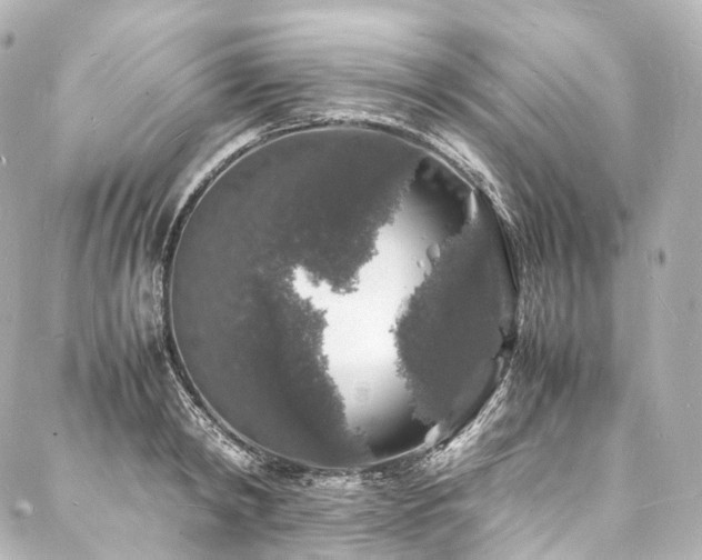 X0000088030798200705111154