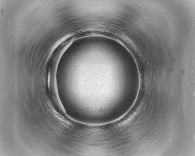 X0000088030830200705111153
