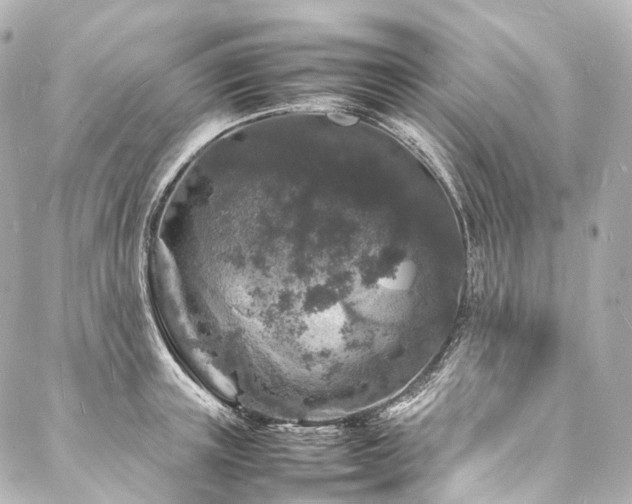 X0000088030851200705111154