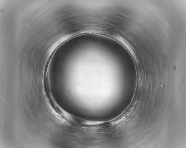X0000088030861200705111154