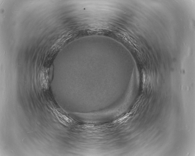 X0000088030868200705111153