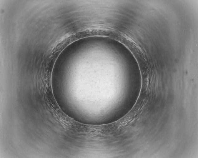 X0000088030870200705111153