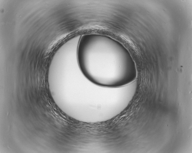 X0000088030872200705111153
