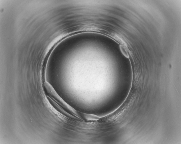 X0000088030947200705111152