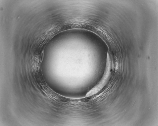 X0000088030964200705111151