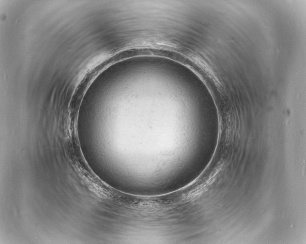 X0000088030974200705111151