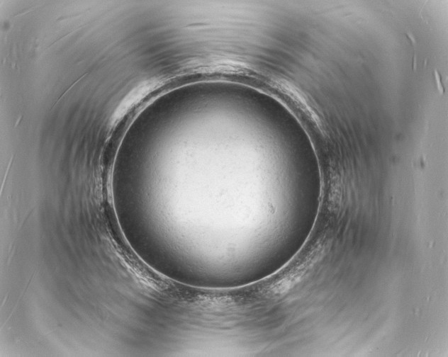X0000088030978200705111151