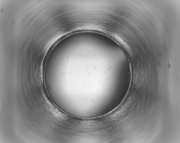 X0000088030988200705111151