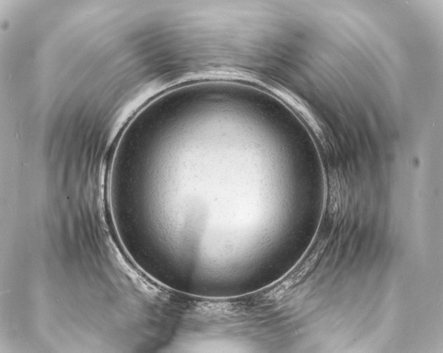 X0000088031006200705111151