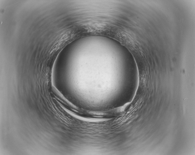 X0000088031012200705111150