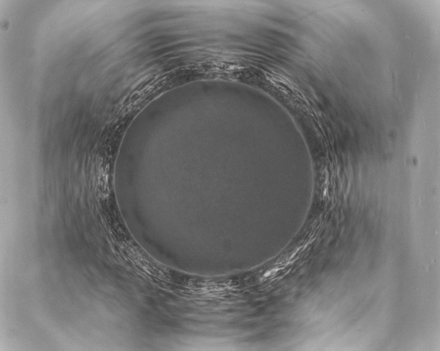 X0000088031013200705111150
