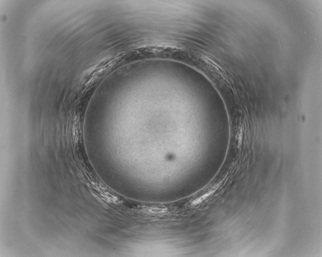 X0000088031014200705111150