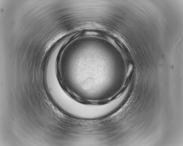 X0000088031018200705111150