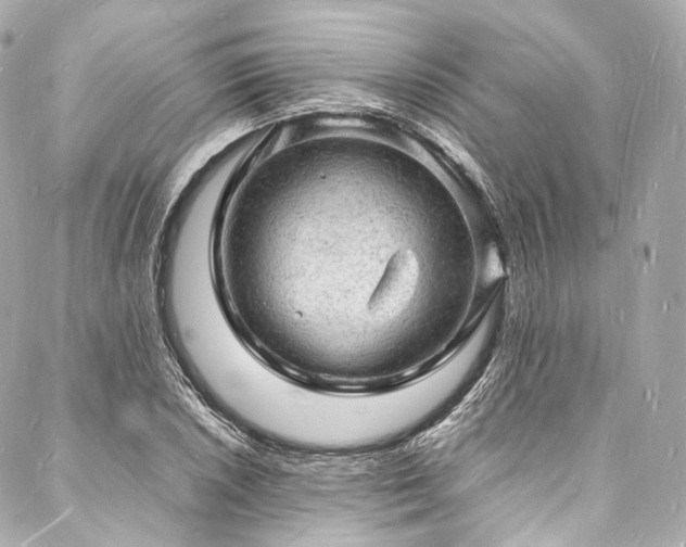X0000088031026200705111150