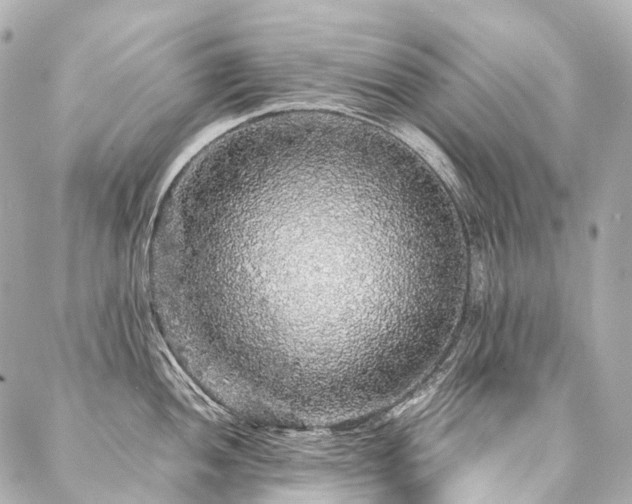 X0000088031052200705111151