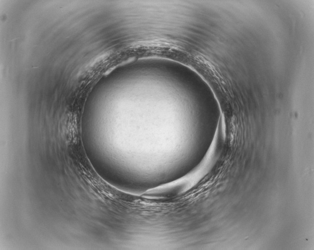 X0000088031062200705111150