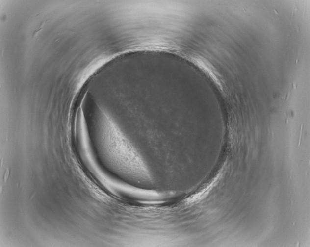 X0000088031077200705111150