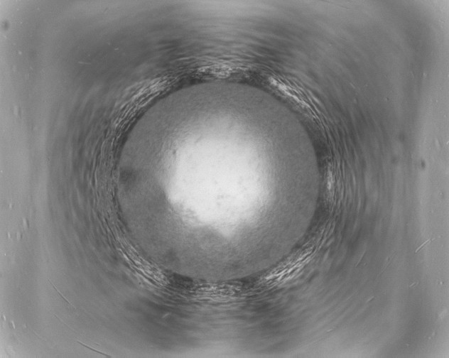 X0000088031105200705111148