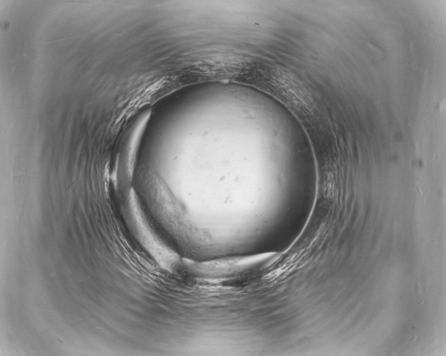 X0000088031108200705111148