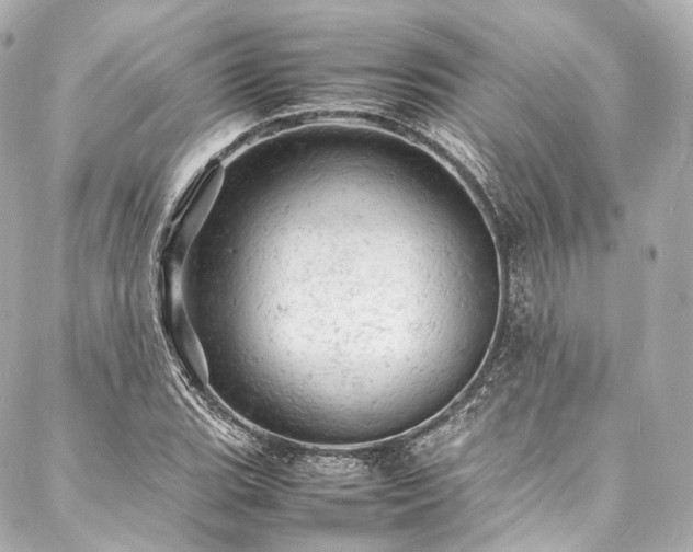 X0000088031119200705111149