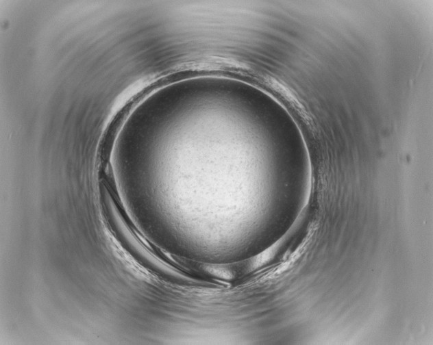 X0000088031122200705111149