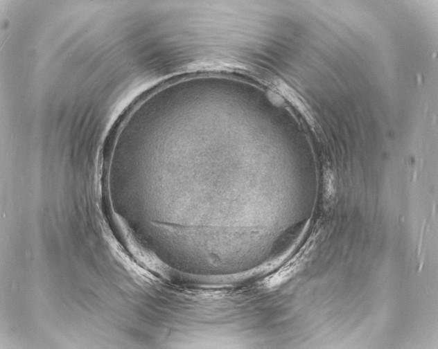 X0000088031124200705111149