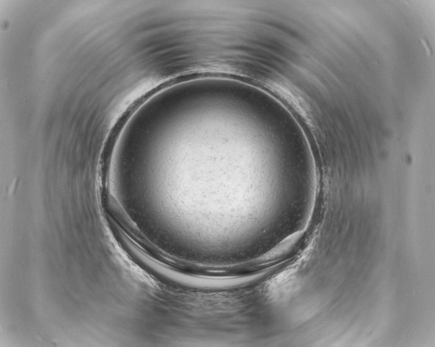 X0000088031133200705111149