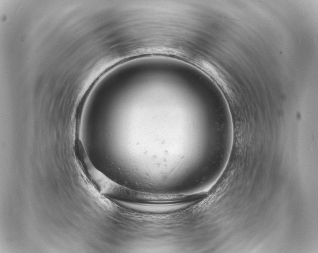 X0000088031140200705111149