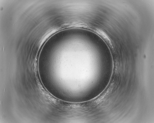 X0000088031190200705111148