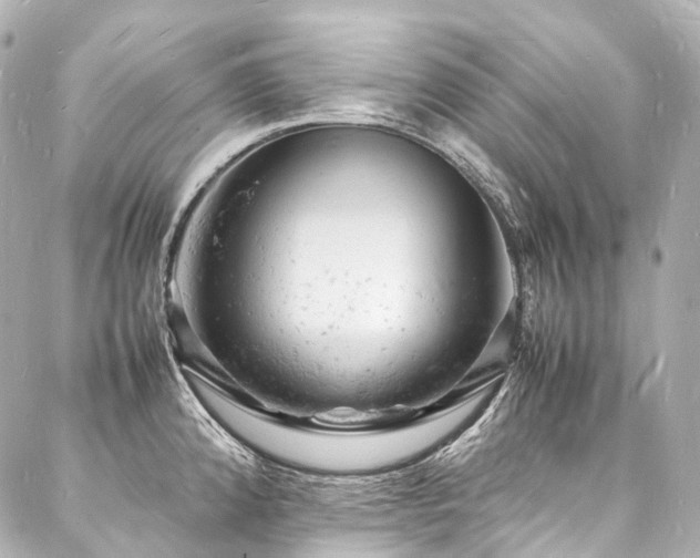 X0000088031192200705111148